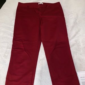 Burgundy pants